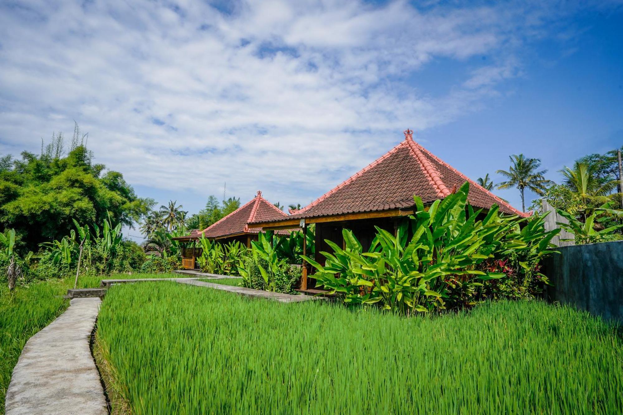 Ubud Sawah Scenery Villa And Homestay Tegallalang  Extérieur photo