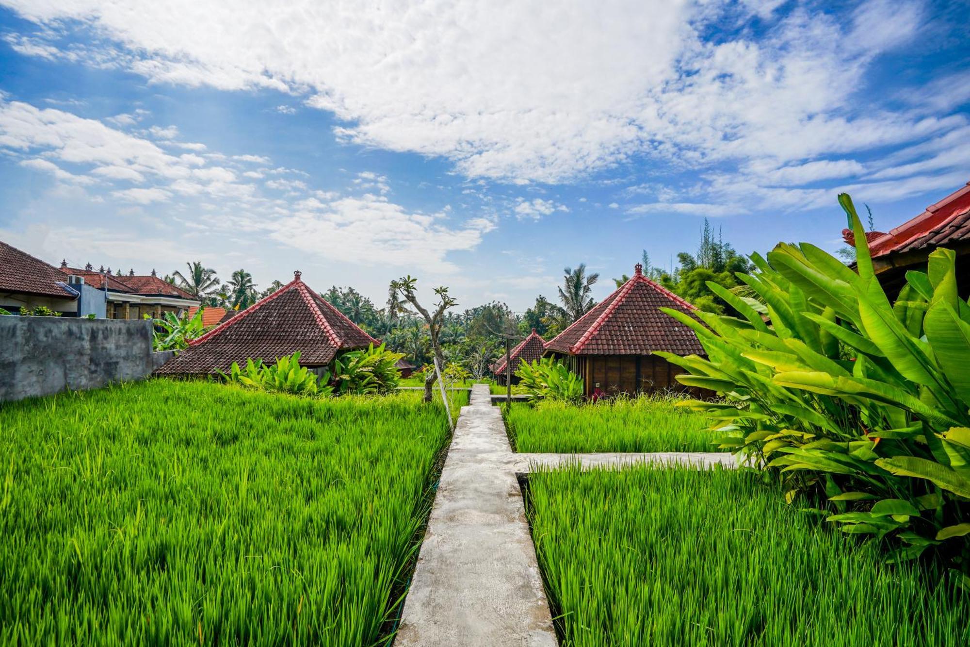 Ubud Sawah Scenery Villa And Homestay Tegallalang  Extérieur photo