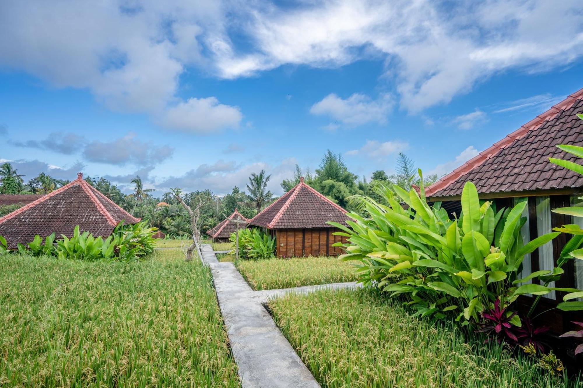 Ubud Sawah Scenery Villa And Homestay Tegallalang  Extérieur photo