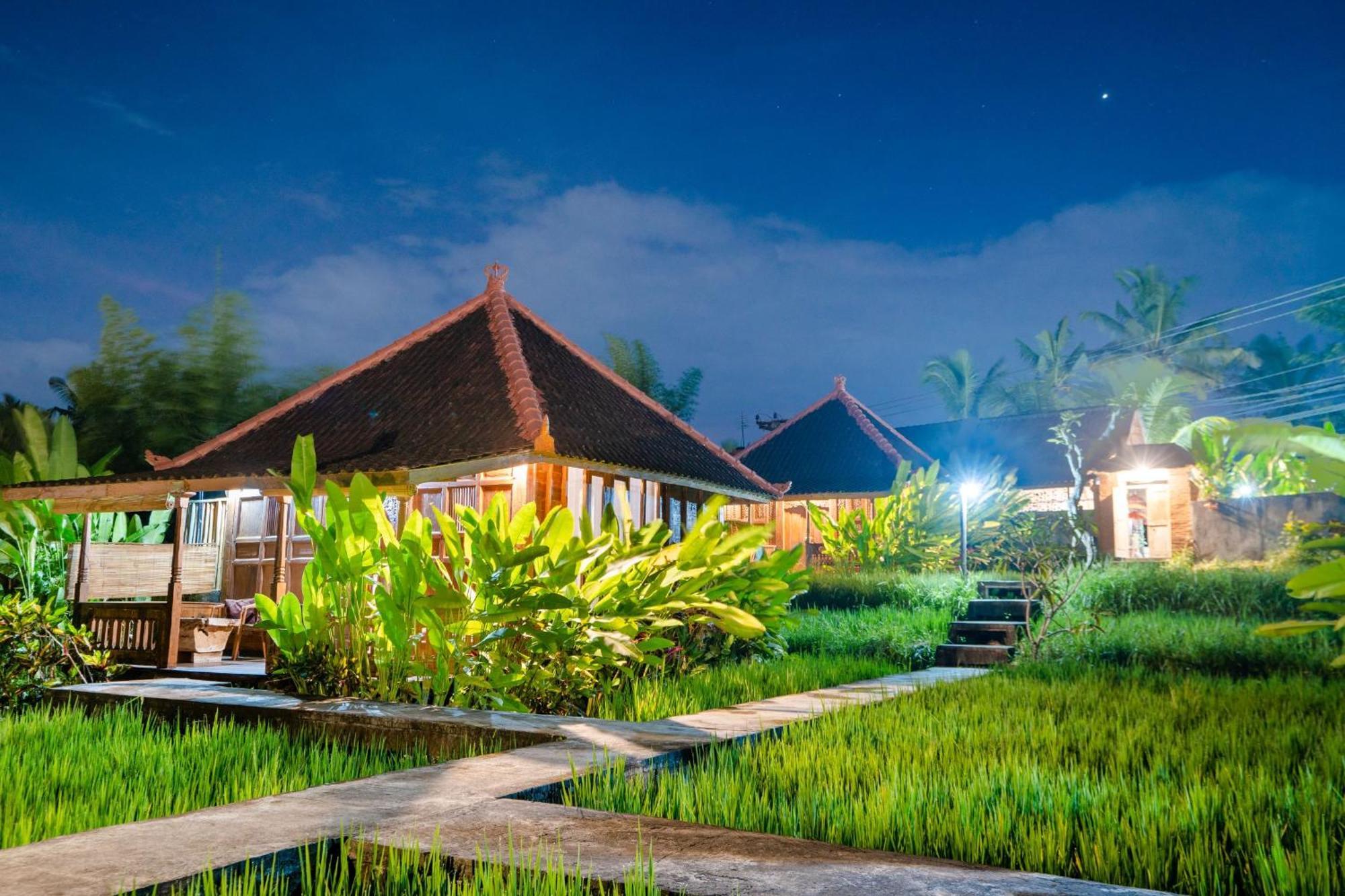 Ubud Sawah Scenery Villa And Homestay Tegallalang  Extérieur photo