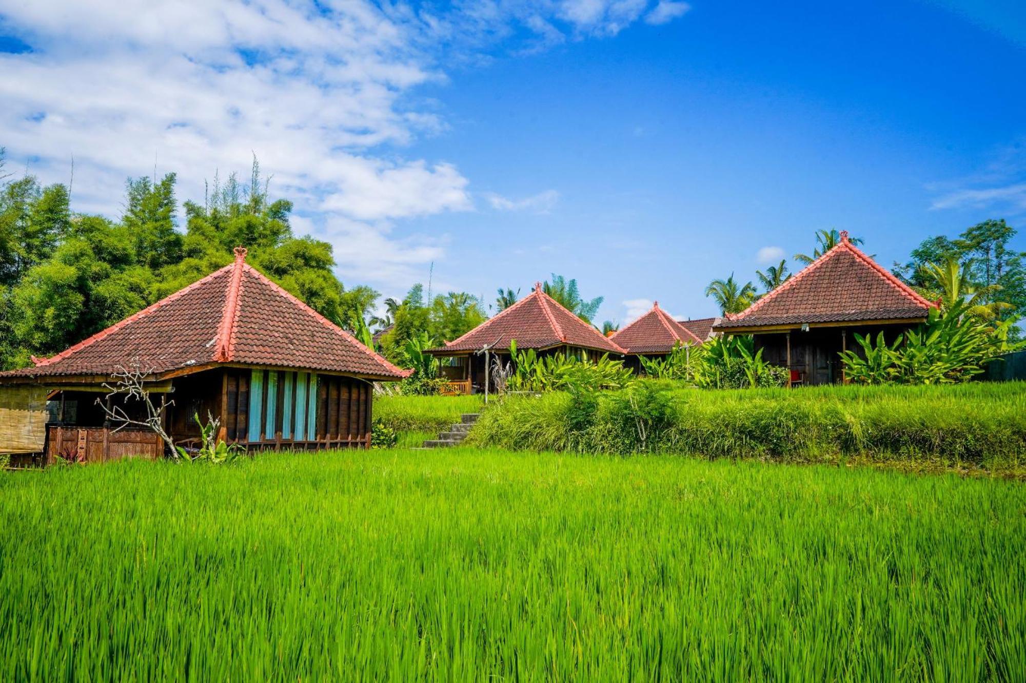 Ubud Sawah Scenery Villa And Homestay Tegallalang  Extérieur photo